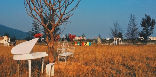 Vẻ đẹp hoang sơ của thuận phước field Vẻ đẹp hoang sơ của thuận phước field