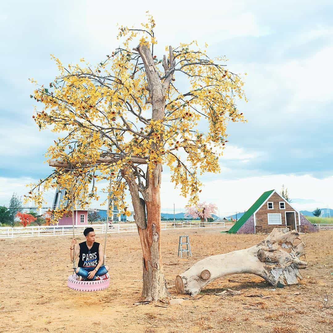 "Thánh địa" chụp ảnh cho mọi người "Thánh địa" chụp ảnh cho mọi người