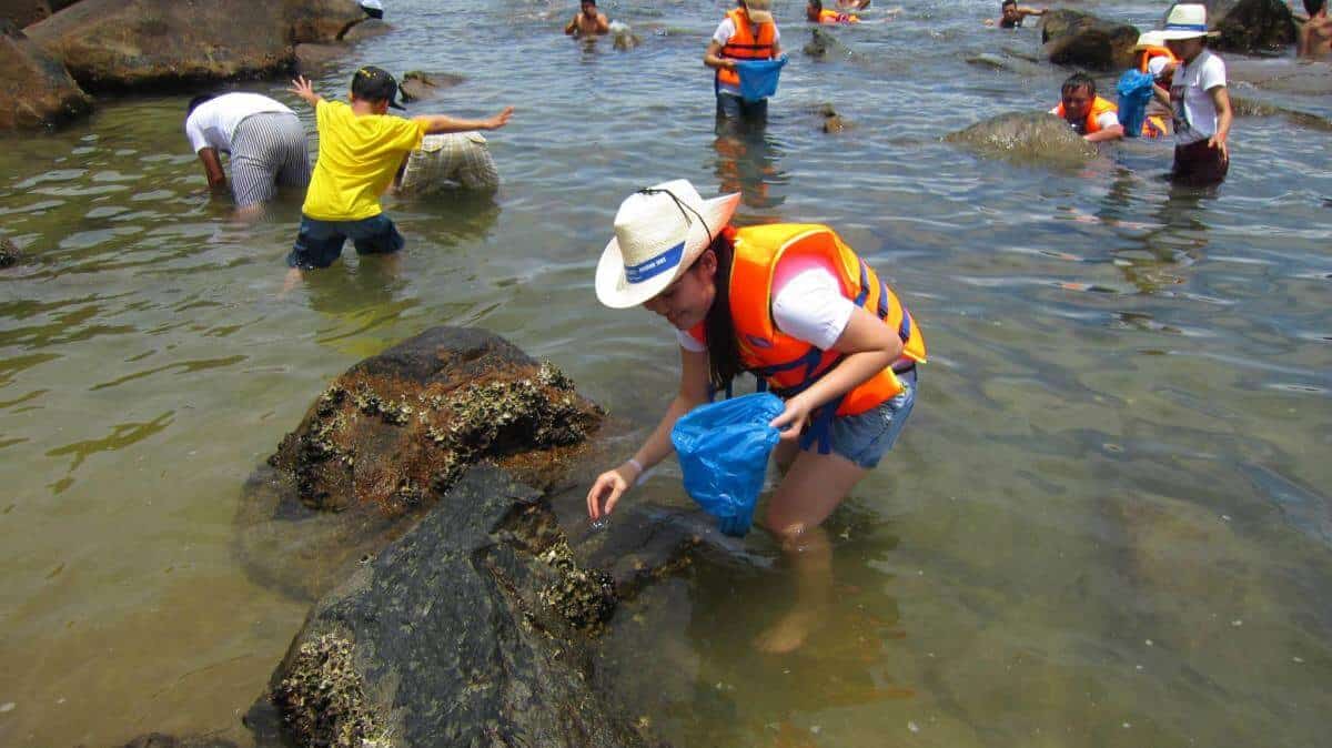 Mò cua bắt ốc Bãi Cát Vàng